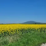 Sulidom * Sulistrowice
