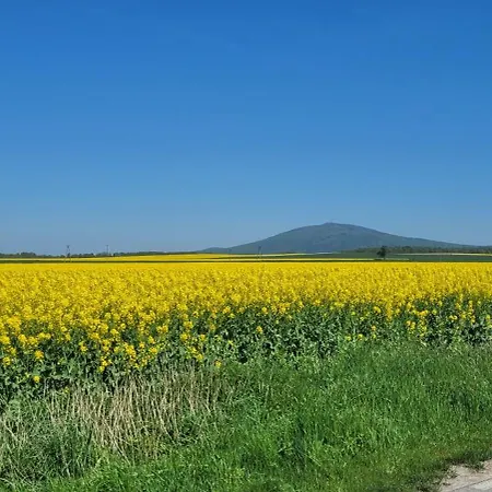 Sulidom * Sulistrowice