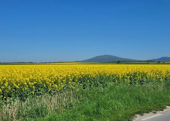 Sulidom * Sulistrowice