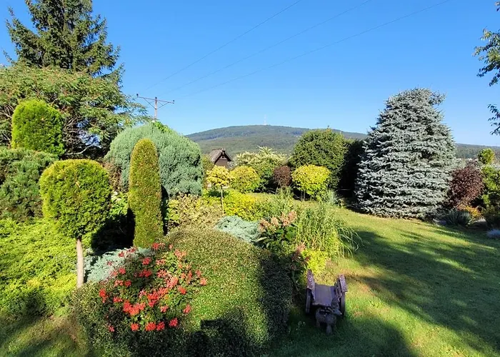 Sulidom * Sulistrowice